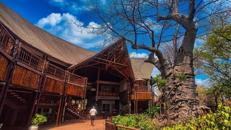 Day Trip from Victoria Falls: Chobe NP Land and River Safari - What’s Included and What’s Not