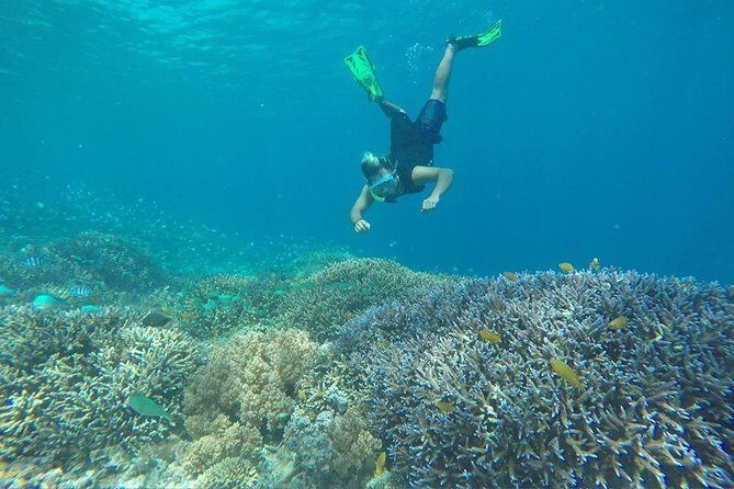 Day Trip Gili Trawangan, Gili Meno, Gili Air (Depart Lombok) - Authenticity and the Value of the Experience
