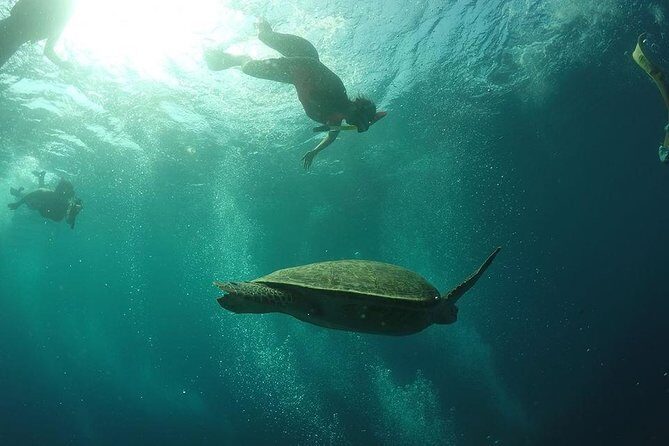 Day Trip Gili Trawangan, Gili Meno, Gili Air (Depart Lombok) - FAQ