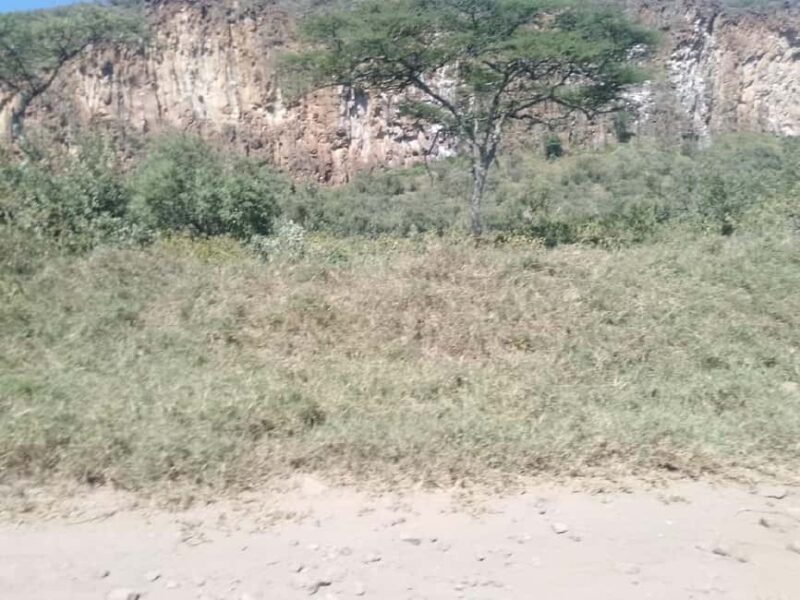 Day Trip: Hells Gate and optional Boat Ride at Lake Naivasha - Final Thoughts