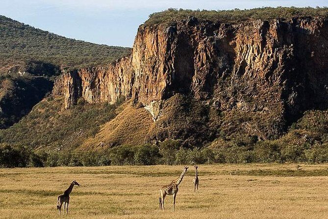 Day trip Hells gate Lake Naivasha best private safari - The Sum Up: Is This Tour Worth It?