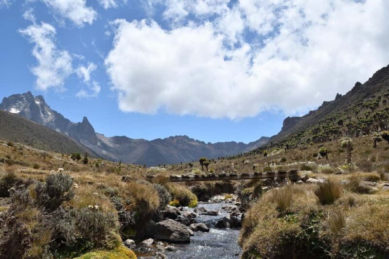 Day Trip Hiking Adventure to Mt. Kenya National Park - Wildlife and Bird Watching