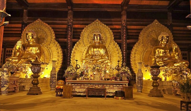 Day Trip-Hoa Lu-Trang An-Mua Cave-Lunch-Transfer - Logistics and Practical Tips