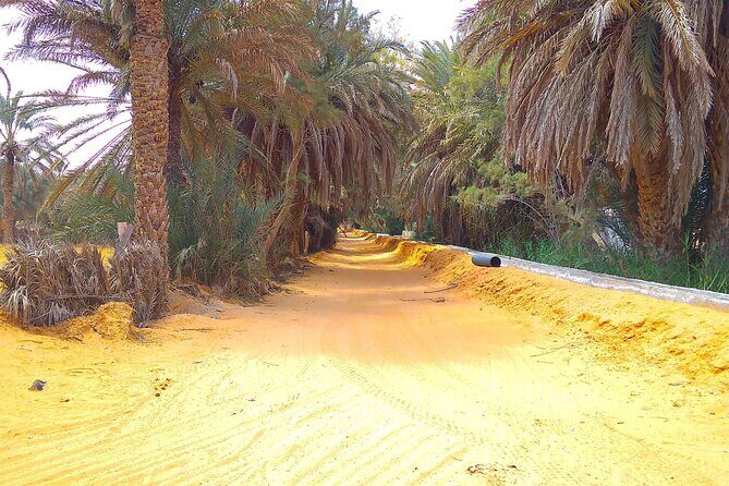 Day Trip in Ksar Ghilane with Lunch and Pickup - Exploring the Itinerary: What You Can Expect