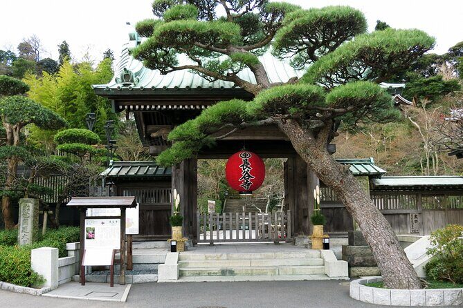 Day Trip Kamakura from Tokyo with National Licensed Guide - Pricing & Value