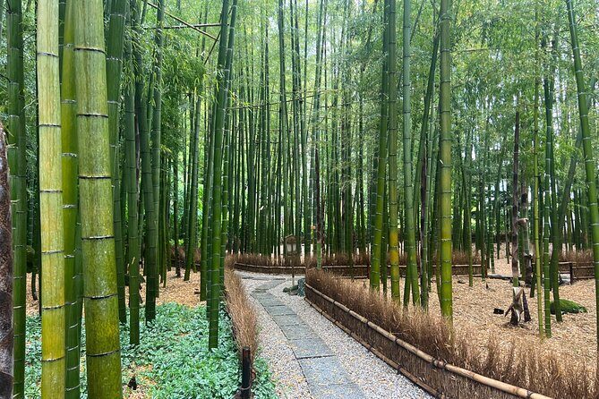 Day Trip Kamakura from Tokyo with National Licensed Guide - Who Will Benefit Most?