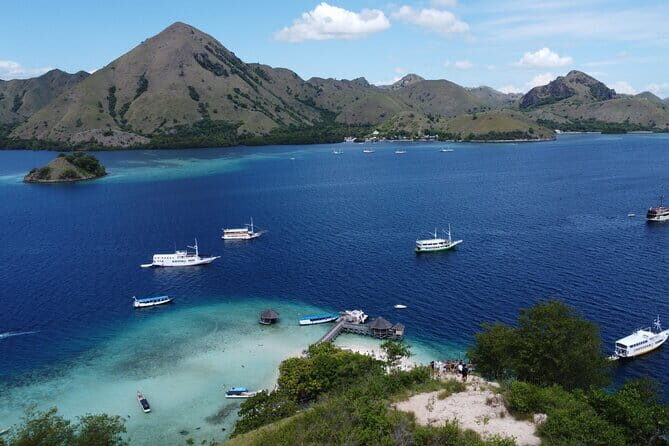 Day Trip Komodo Island With Speedboat in Labuhan Bajo - Practical Details and Insights