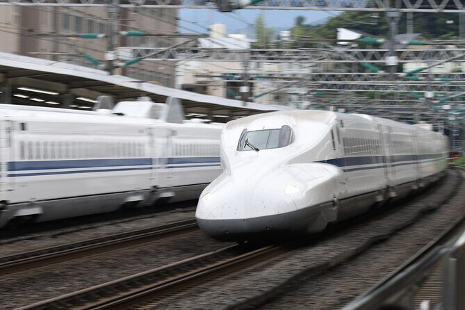 Day Trip Kyoto from Tokyo with a Licensed Guide by Bullet Train - The Itinerary Breakdown: A Detailed Look at Your Day