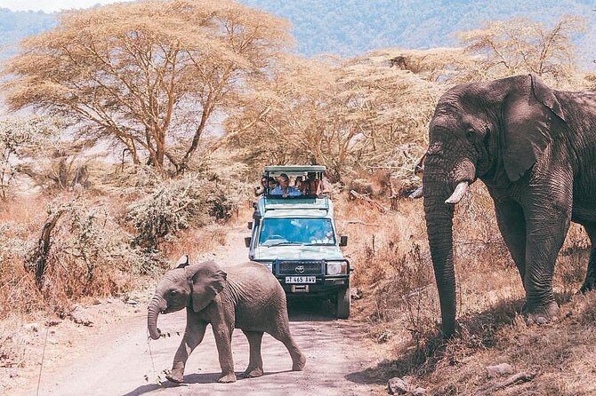 day trip lake manyara - Key Points