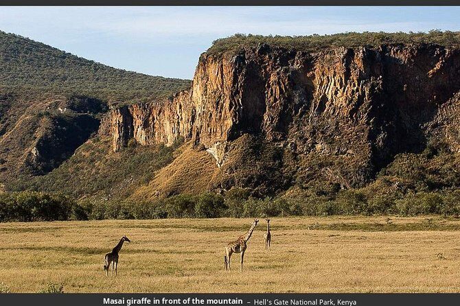 Day Trip - Lake Naivasha & Hell's Gate National Park From Nairobi - The Itinerary: Detailed Breakdown