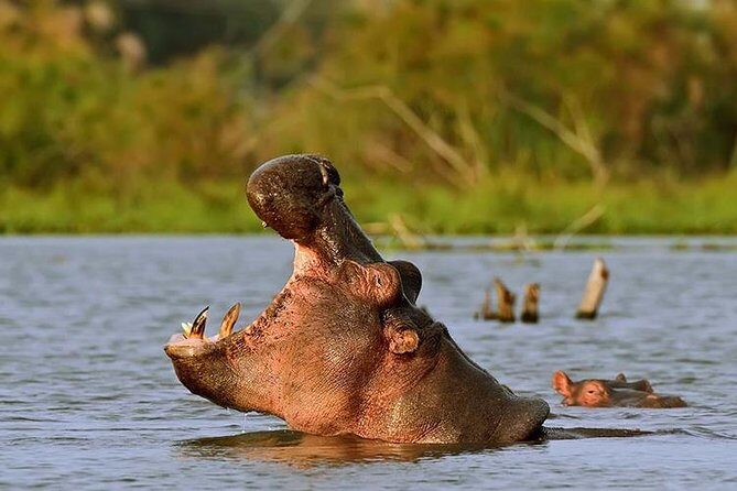 Day Trip - Lake Naivasha & Hell's Gate National Park From Nairobi - Who Should Consider This Tour?