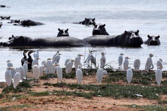 Day Trip - Lake Naivasha & Hell's Gate National Park From Nairobi - FAQ
