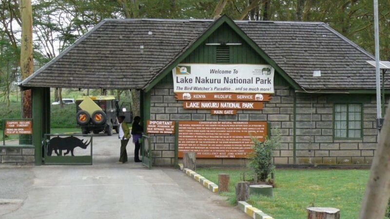 Day trip - Lake Nakuru national park from Nairobi - Key Points