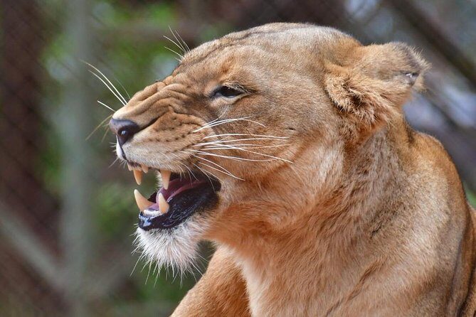 Day trip - Lake Nakuru National Park Tour From Nairobi - Frequently Asked Questions (FAQs)