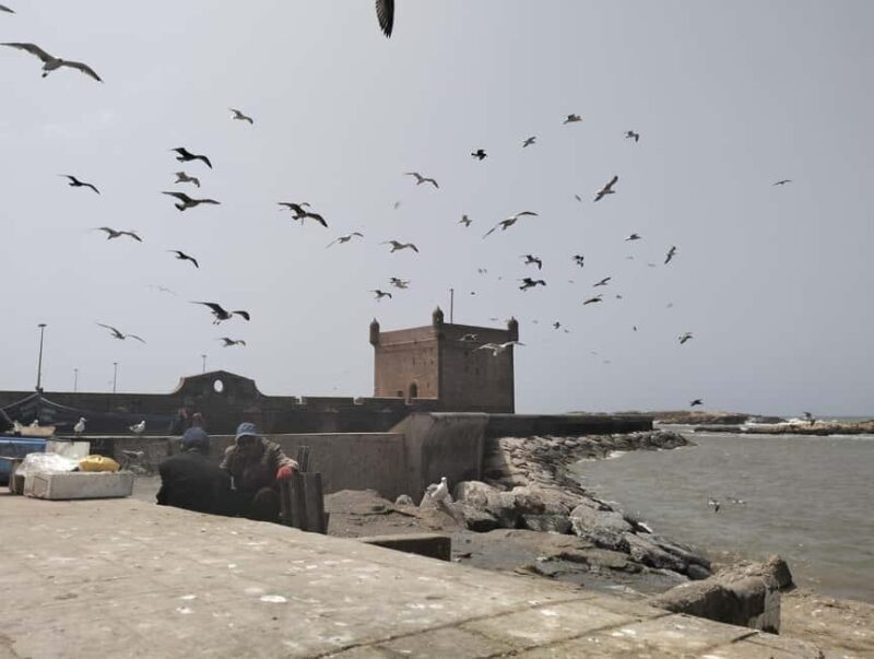 Day trip Marrakech to Essaouira - An In-Depth Look at the Marrakech to Essaouira Day Trip