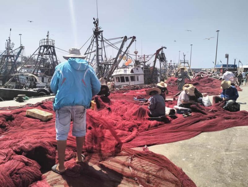 Day trip Marrakech to Essaouira - Final Thoughts