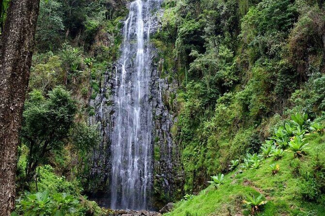 Day trip Materuni watsrfalls and chemka hotsprings tour - Key Points