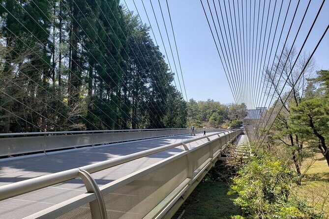 Day Trip MIHO Museum and Shigaraki from Kyoto by Private Car - Analyzing the Value: Is It Worth the Price?