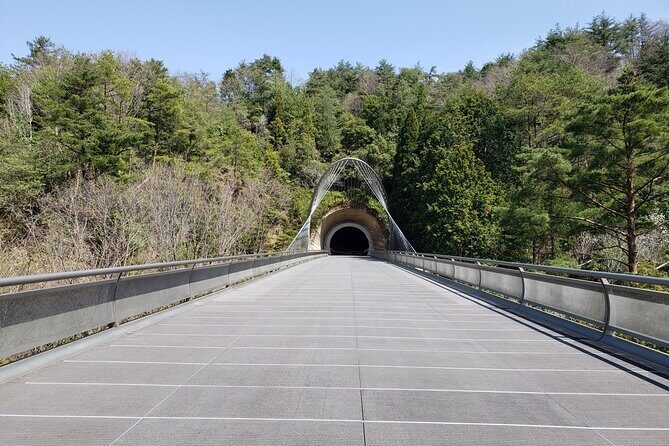Day Trip MIHO Museum and Shigaraki from Kyoto by Private Car - Who Should Consider This Tour?