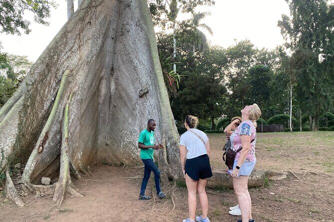 Day Trip Near Accra - Visit Aburi Gardens, Waterfall & Cocoa Farm - A Deep Dive into the Aburi Day Trip