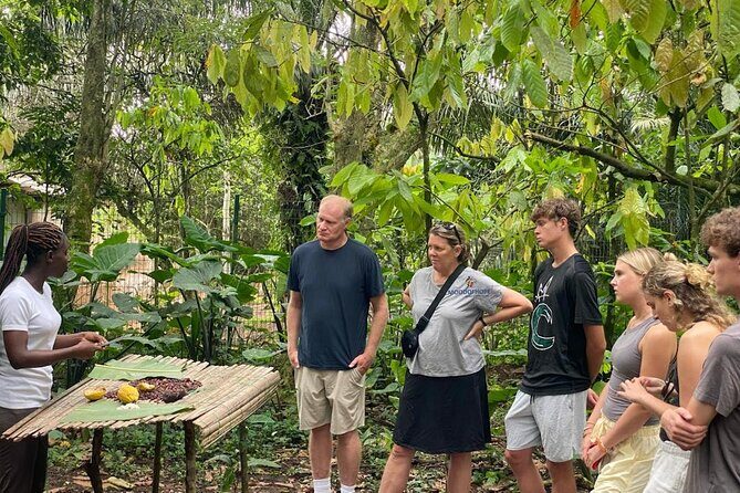 Day Trip Near Accra - Visit Aburi Gardens, Waterfall & Cocoa Farm - Who Will Appreciate This Tour?