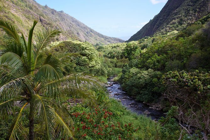 Day Trip Oahu to Maui: Sips, Sites and Bites - The Itinerary in Detail