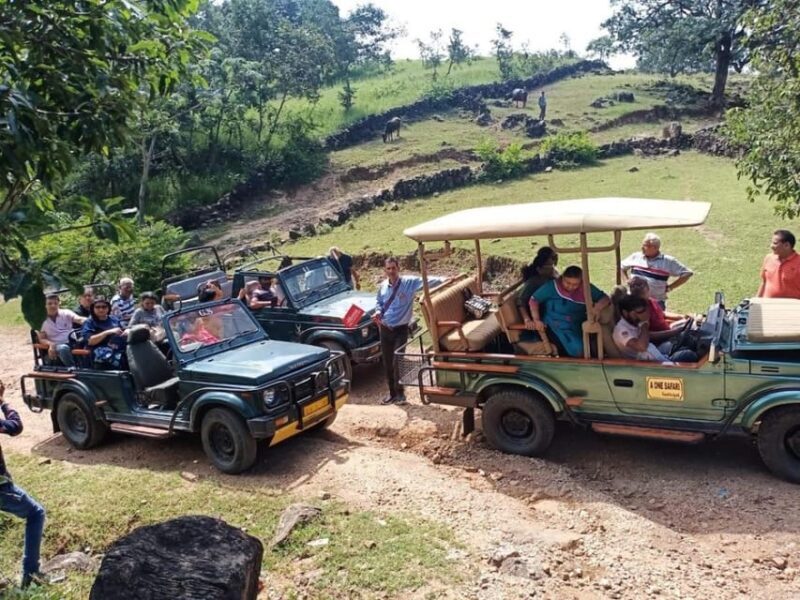 Day Trip Of Kumbhalgarh Fort & Wildlife Safari From Udaipur - Final Thoughts: Who Will Love This Tour?