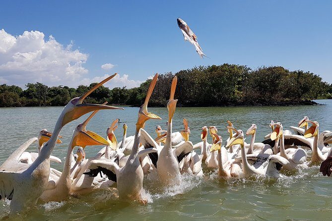 Day trip on Bahir dar. To visit lake tana monasteries and Blue Nile Falls. - What to Expect on the Day Trip from Bahir Dar