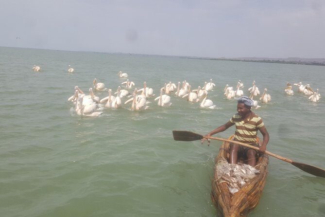 Day trip on Bahir dar. To visit lake tana monasteries and Blue Nile Falls. - FAQ