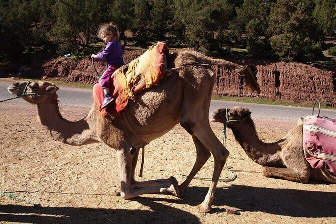 Day trip Ourika waterfall & Berber Villages - FAQ