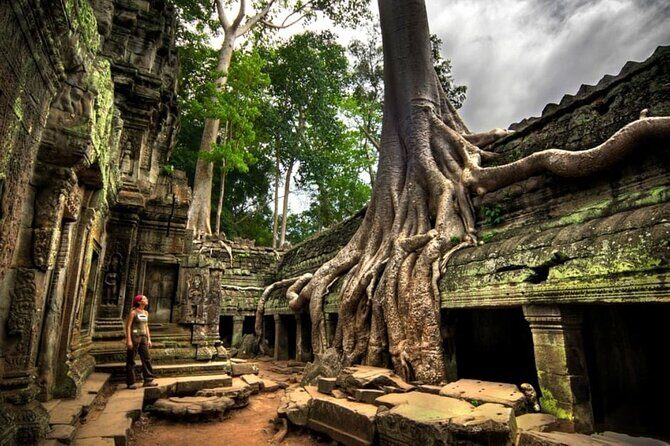 Day trip Phnom Penh to Siem Reap & Return back - Introduction: Is This the Right Tour for You?