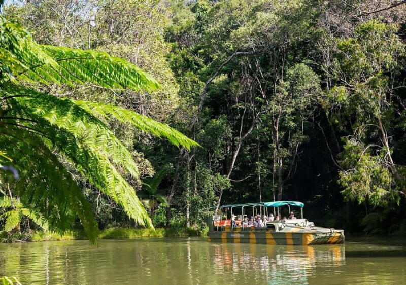 Day Trip: Rainforest & Aboriginal Culture Tour - Discovering Queensland’s Rainforest & Aboriginal Culture: A Balanced Look