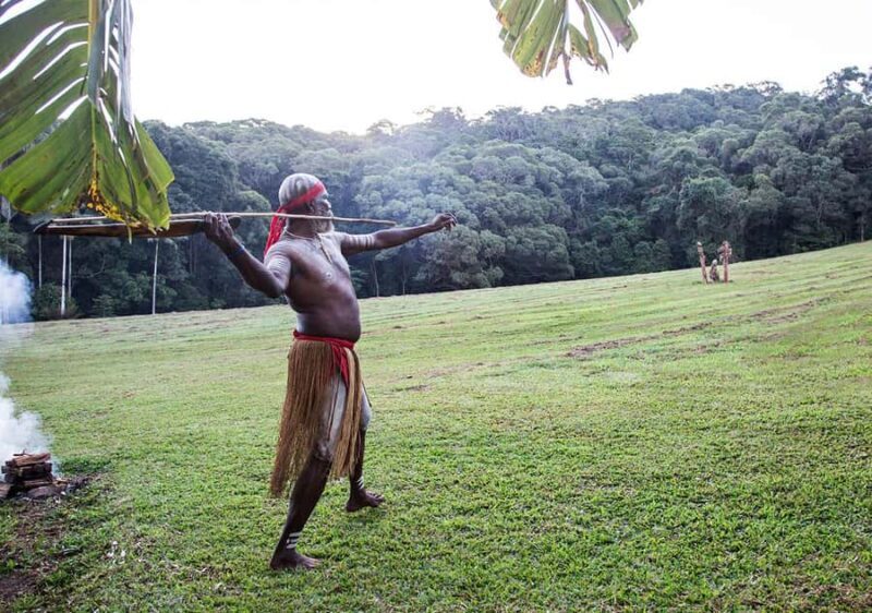 Day Trip: Rainforest & Aboriginal Culture Tour - Who Will Enjoy This Tour?