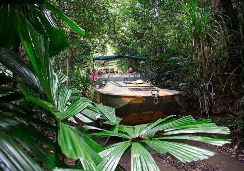 Day Trip: Rainforest & Aboriginal Culture Tour - The Sum Up