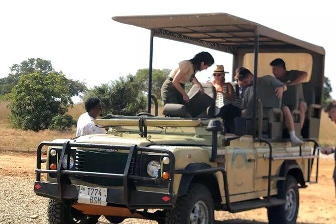 Day Trip Safari to Mikumi National Park - Who Will Love This Safari?