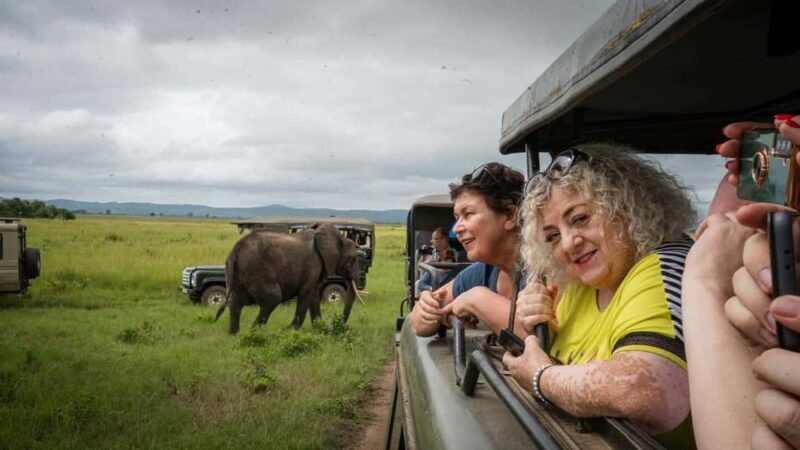 Day Trip Safari to Mikumi National. - What Travelers Can Expect