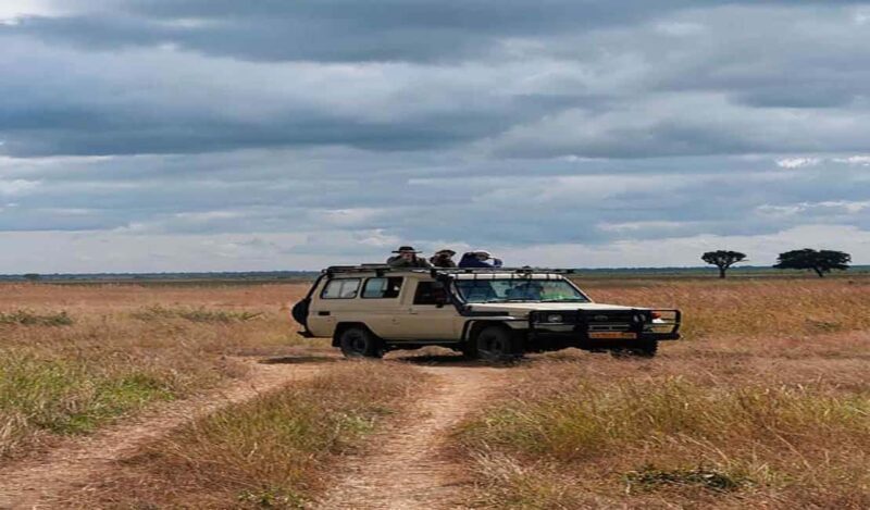 Day Trip Safari to Mikumi National. - Frequently Asked Questions