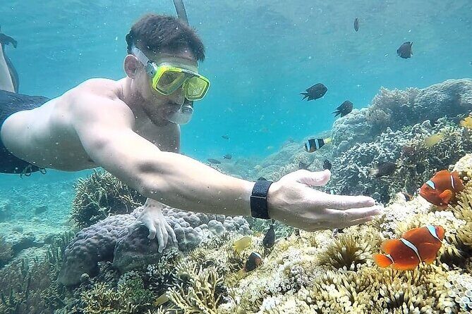 Day Trip Secret Island West Of Lombok - The Sum Up