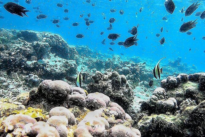 Day Trip Secret Island West Of Lombok - FAQ