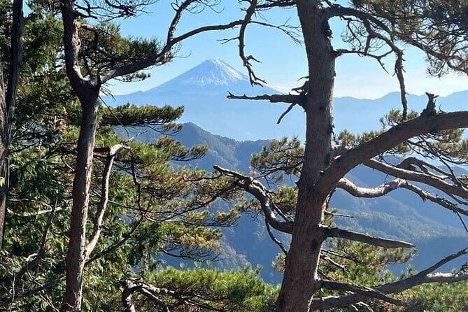 Day Trip Shosen Valley from Tokyo - Final Thoughts