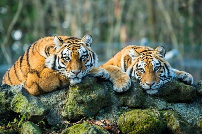 Day Trip Taj Mahal, Agra Fort & Baby Taj Tour from Delhi by Car - The Sum Up: Who Should Consider This Tour?