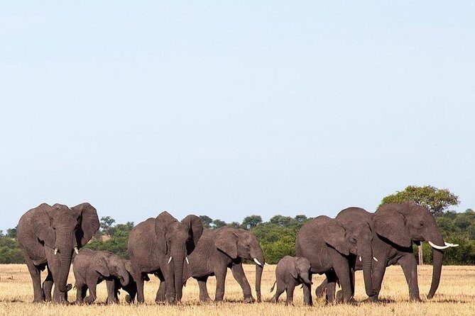 day trip tarangire - The Sum Up