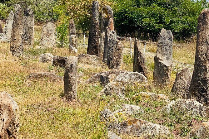 Day Trip to Adadi Rock and Tiya Archeological Excursion - A Closer Look at the Itinerary