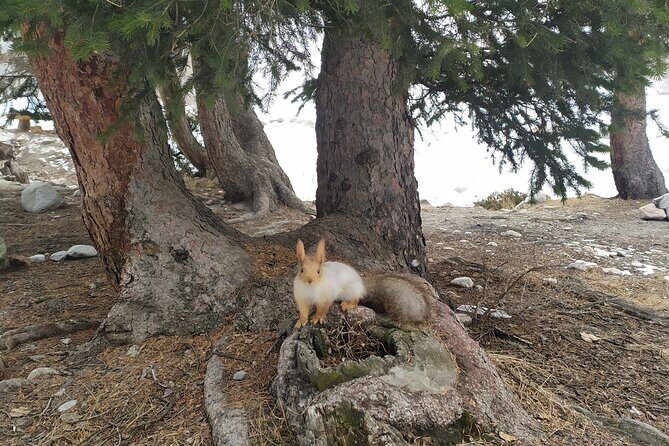 Day trip to Ala-Archa National Park - FAQs