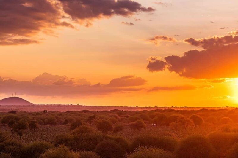 Day Trip to Amboseli National Park From Nairobi ( Private) - FAQ: Your Practical Questions Answered