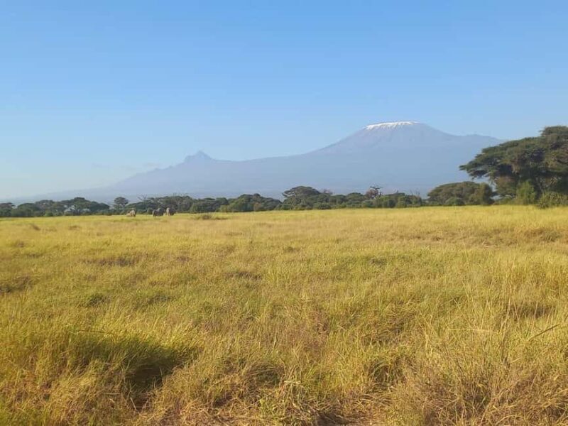 Day trip to Amboseli National park from Nairobi - FAQs