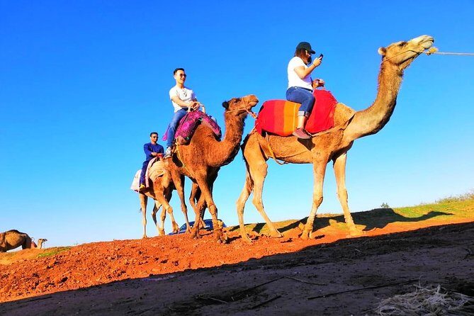 Day trip to Atlas Mountains and 4 Valley with Camel ride from Marrakech - Detailed Breakdown of the Tour