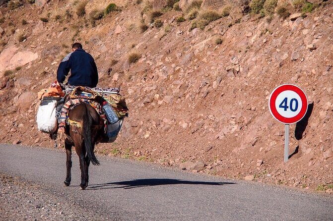 Day Trip to Atlas Mountains and Berber Villages - The Sum Up