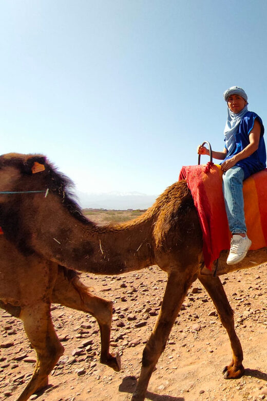 Day Trip to Atlas Mountains, Camel Ride, And Berber Villages - Key Points