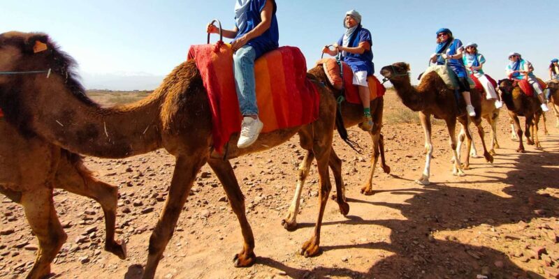 Day Trip to Atlas Mountains, Camel Ride, And Berber Villages - Who Will Love This Tour?